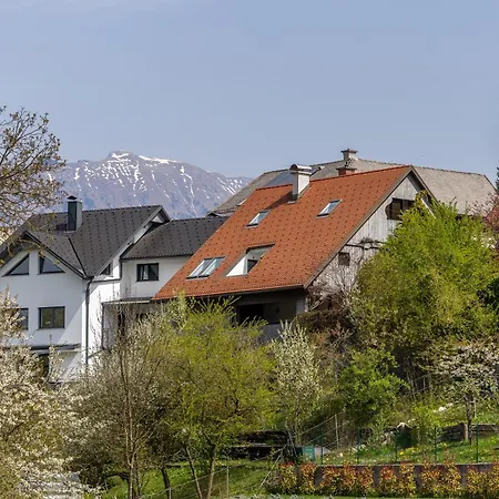 Pr' Sokrat * Radovljica
